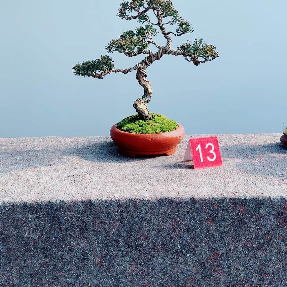 静***空完全开放一物一拍济州