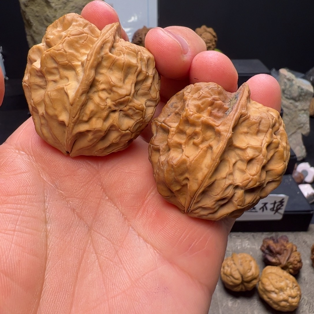 吊坠文玩核桃七彩皇冠41mm