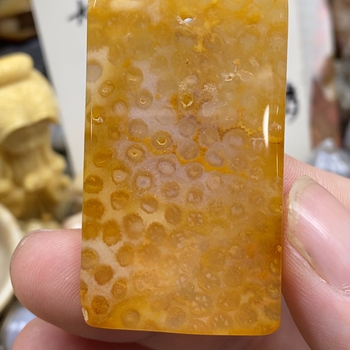 硅化珊瑚（珊瑚玉）未镶嵌颈饰