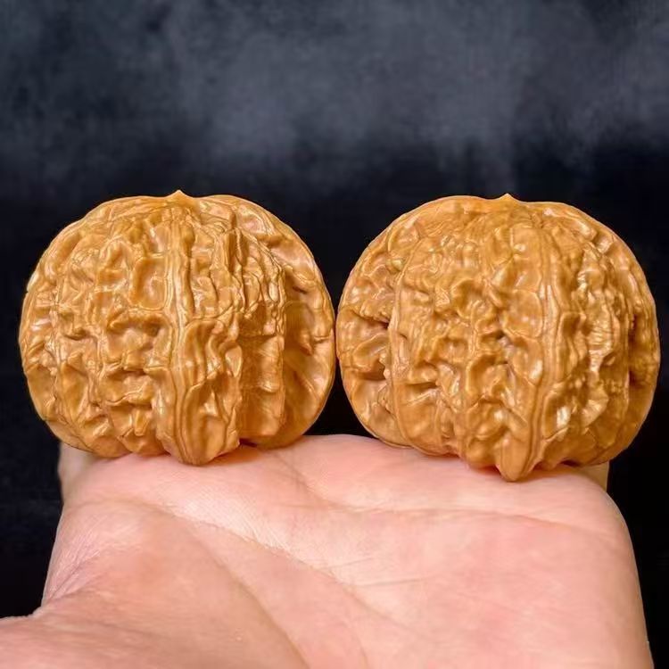 【辉子专属】L0210 精修打底白狮子核桃40mm