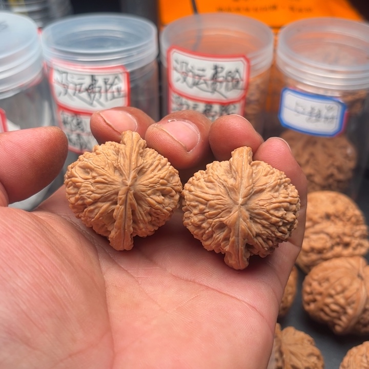把件文玩核桃白狮38