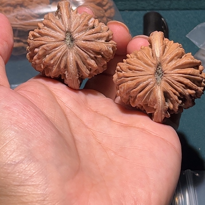 长***房把件文玩核桃41➕楼子毕业对