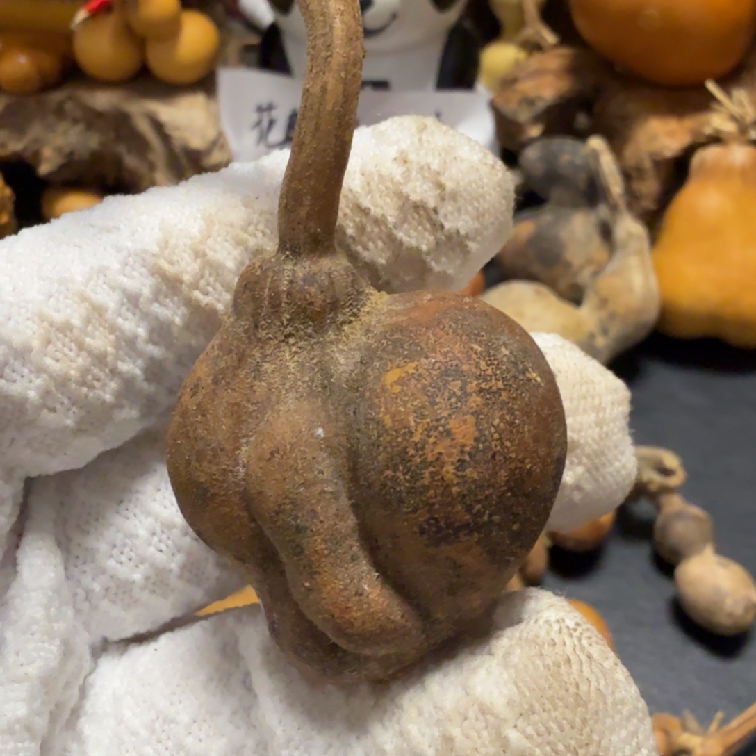 众***生66666667777777888888