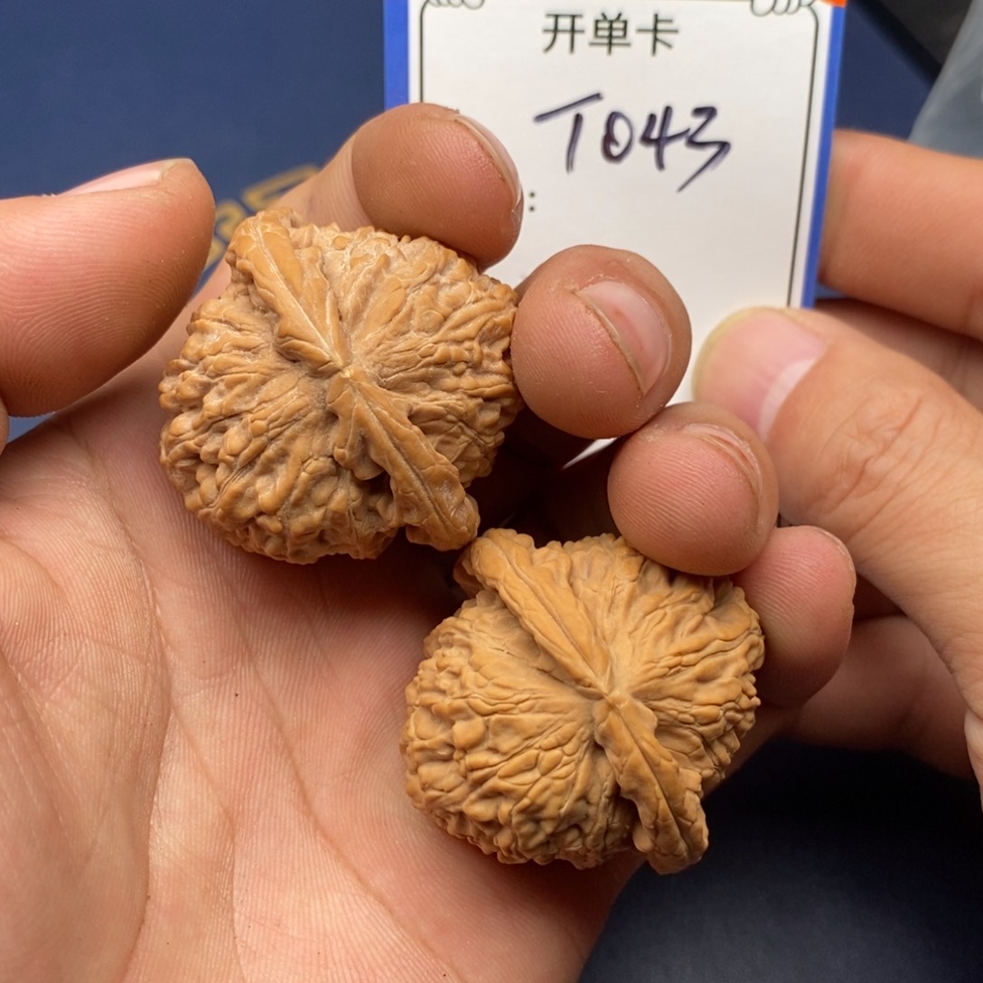 文玩核桃把件白狮子043