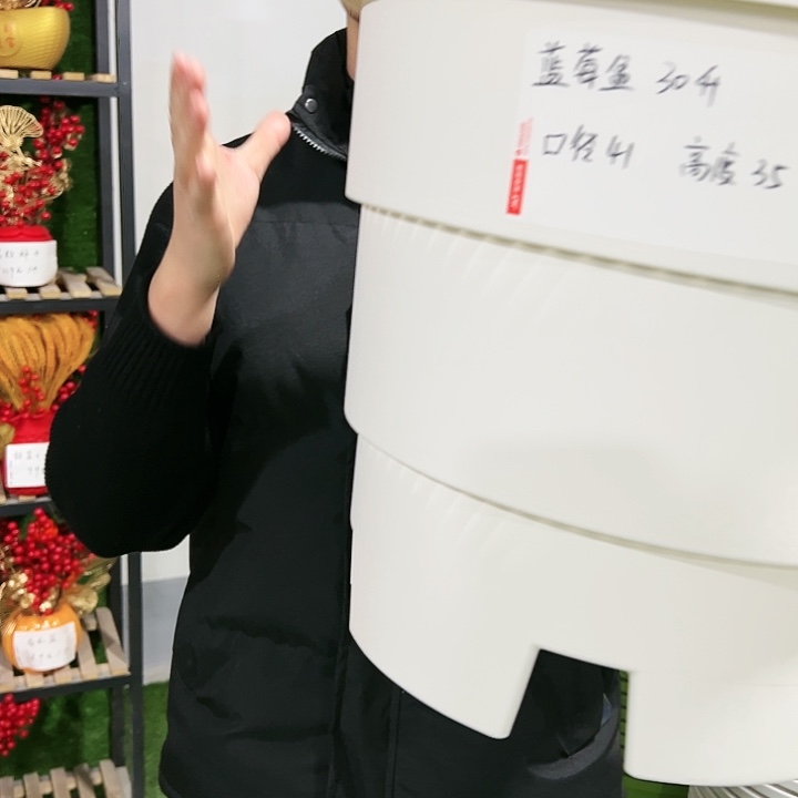 正品蓝莓口41高35白色3只无托