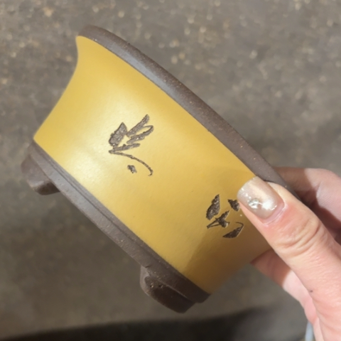 紫砂花盆100-11。100-11