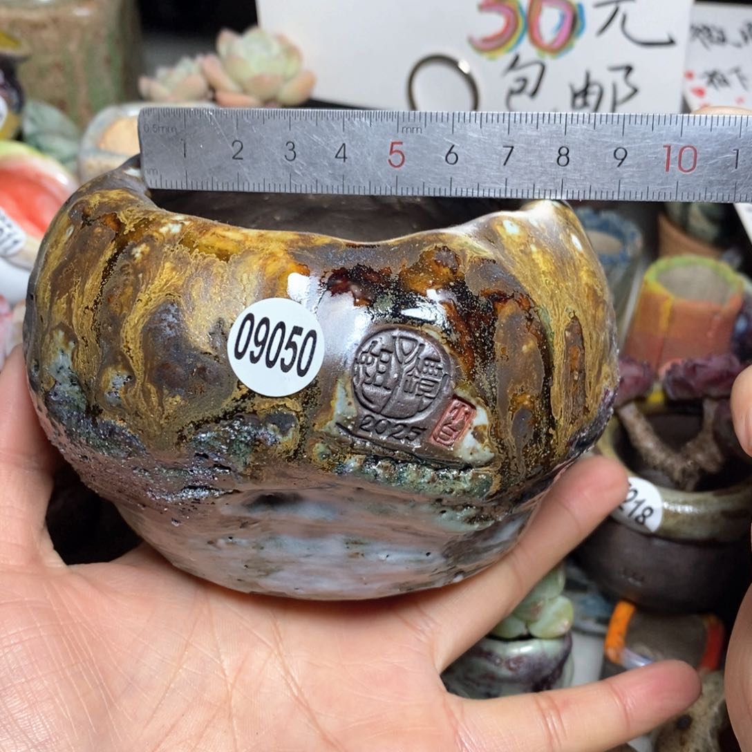花盆拍3送一个小礼物