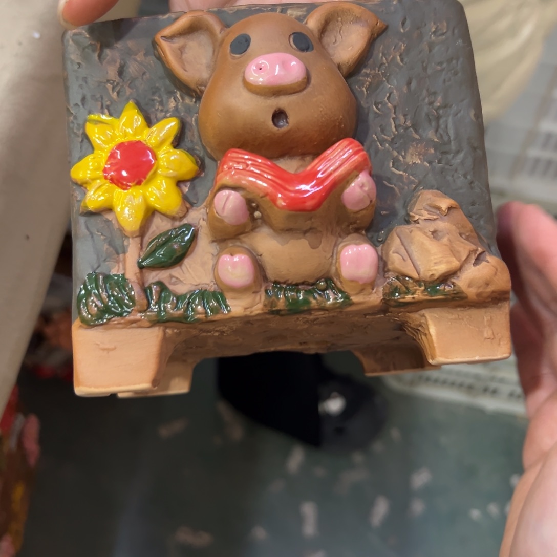 满20米秒退拉黑多肉