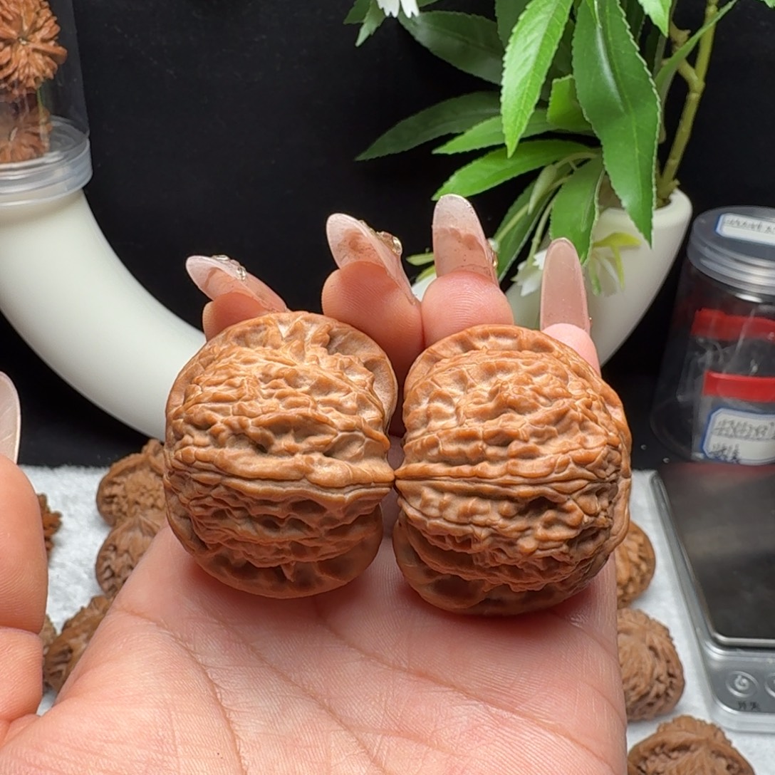 文玩核桃把件42球白全品