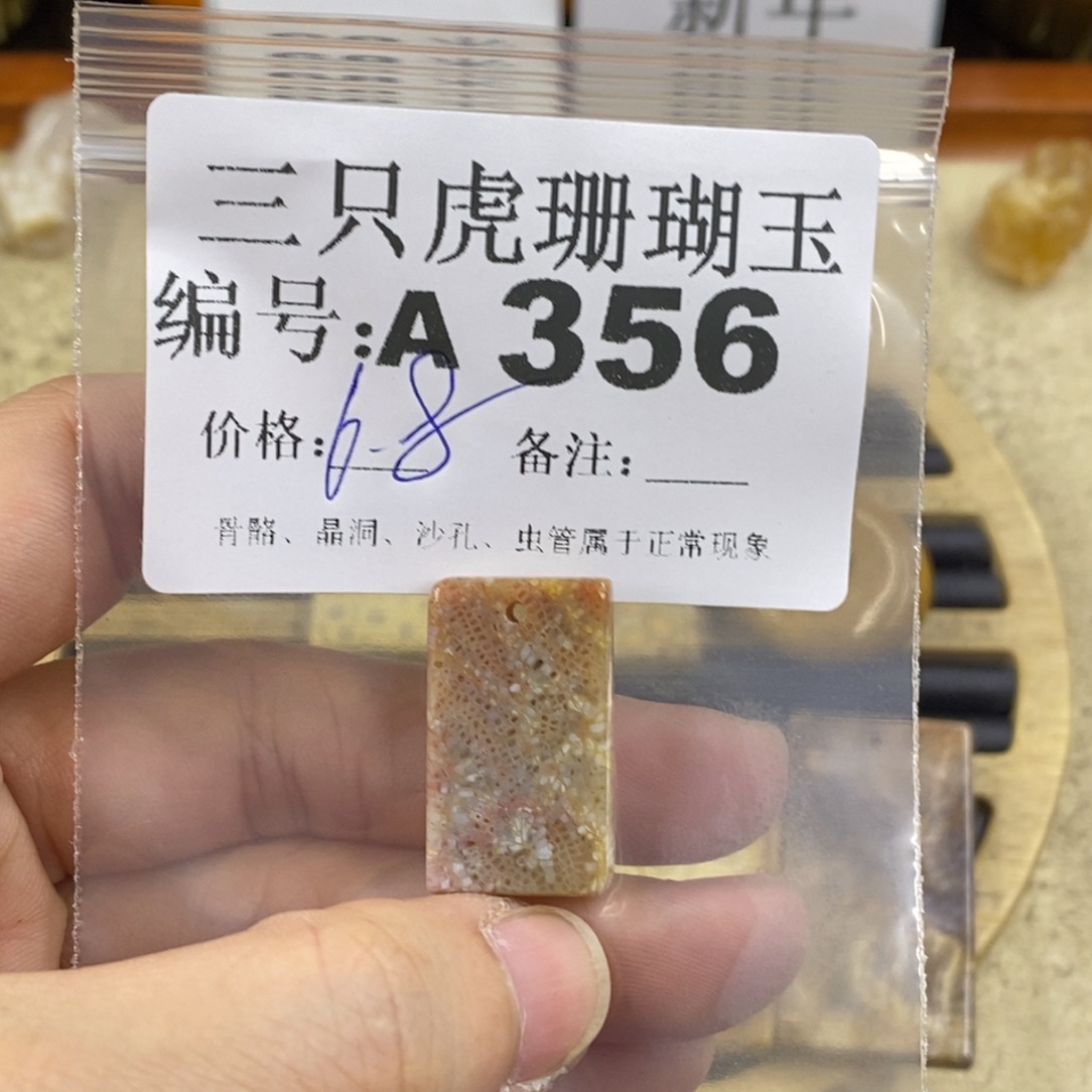 硅化珊瑚（珊瑚玉）1未镶嵌蓝*晶