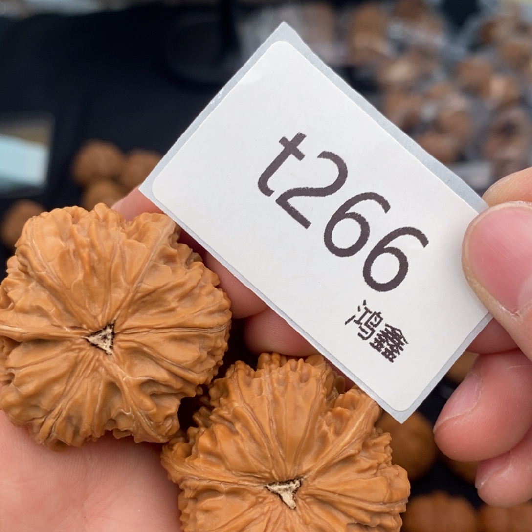 文玩核桃把件?***猫39文山三棱