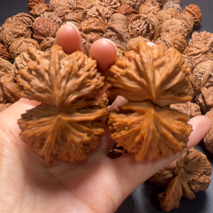 文山连体50尺寸核桃哈哈哈哈哈哈哈