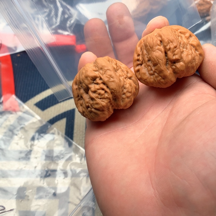 文玩核桃吊坠43蛤蟆头237