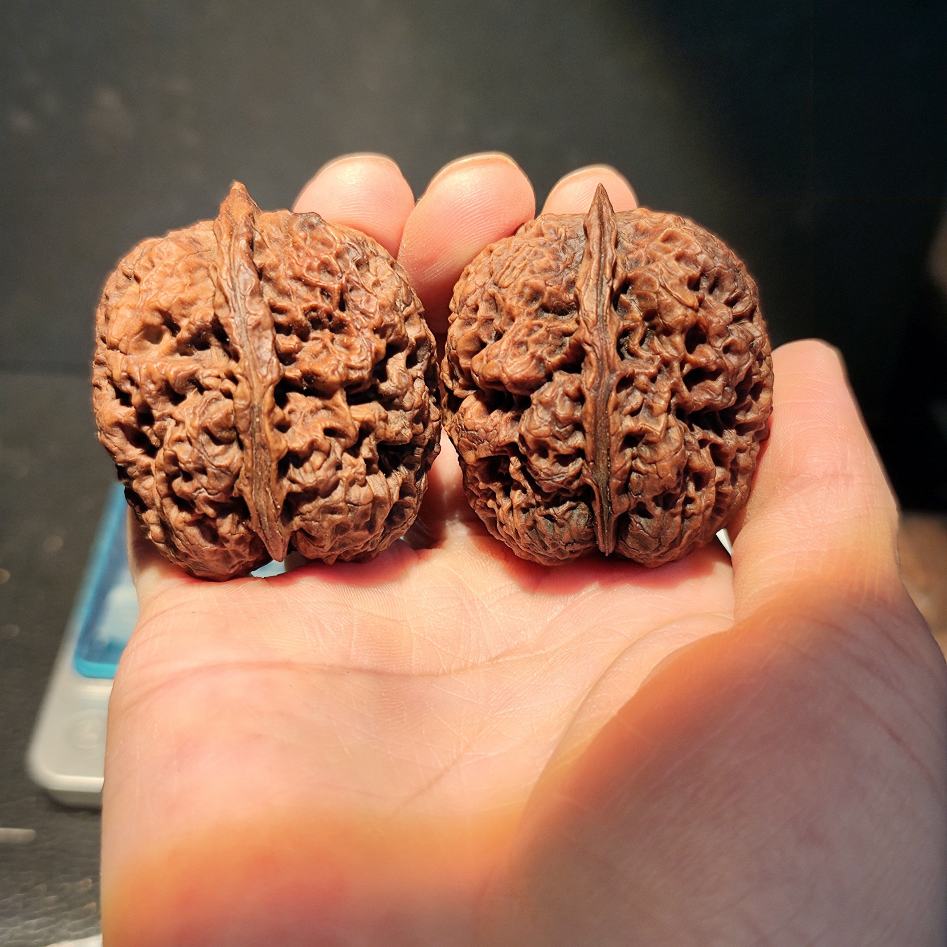 165号41云南铁核桃麒麟王彩阴磕尖