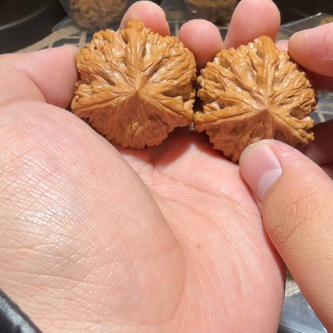 文玩核桃把件御龙三棱