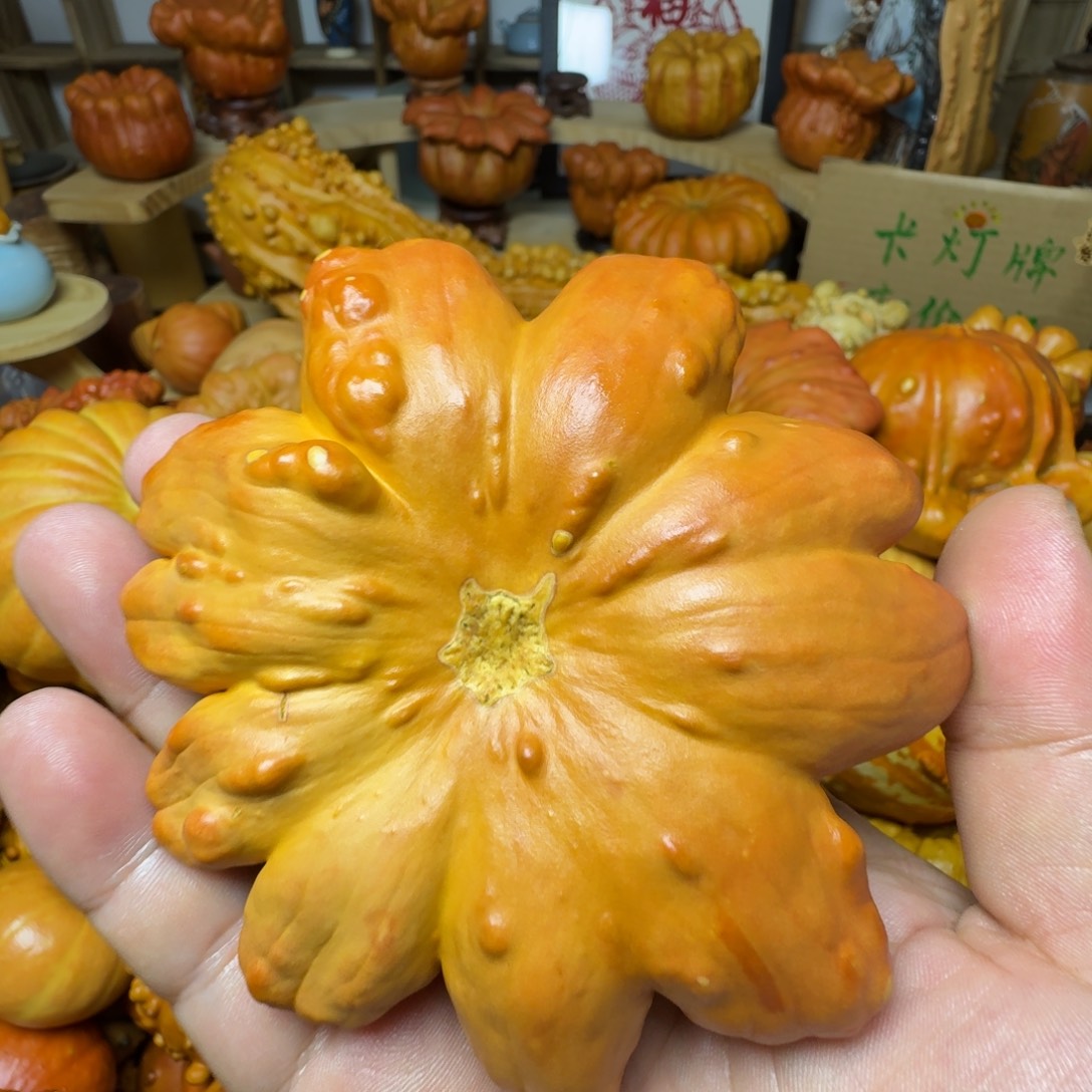 金***子特价葫芦不退不换