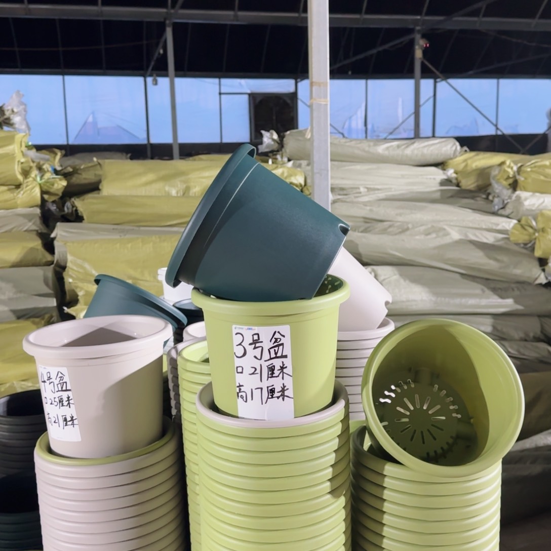 塑料四季3号军绿4个带拖