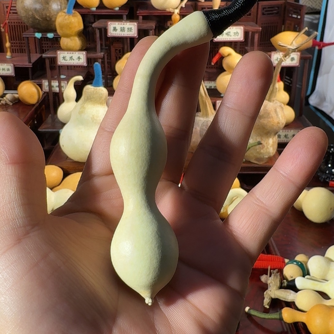 杆子仙气飘飘粗嘴弯嘴