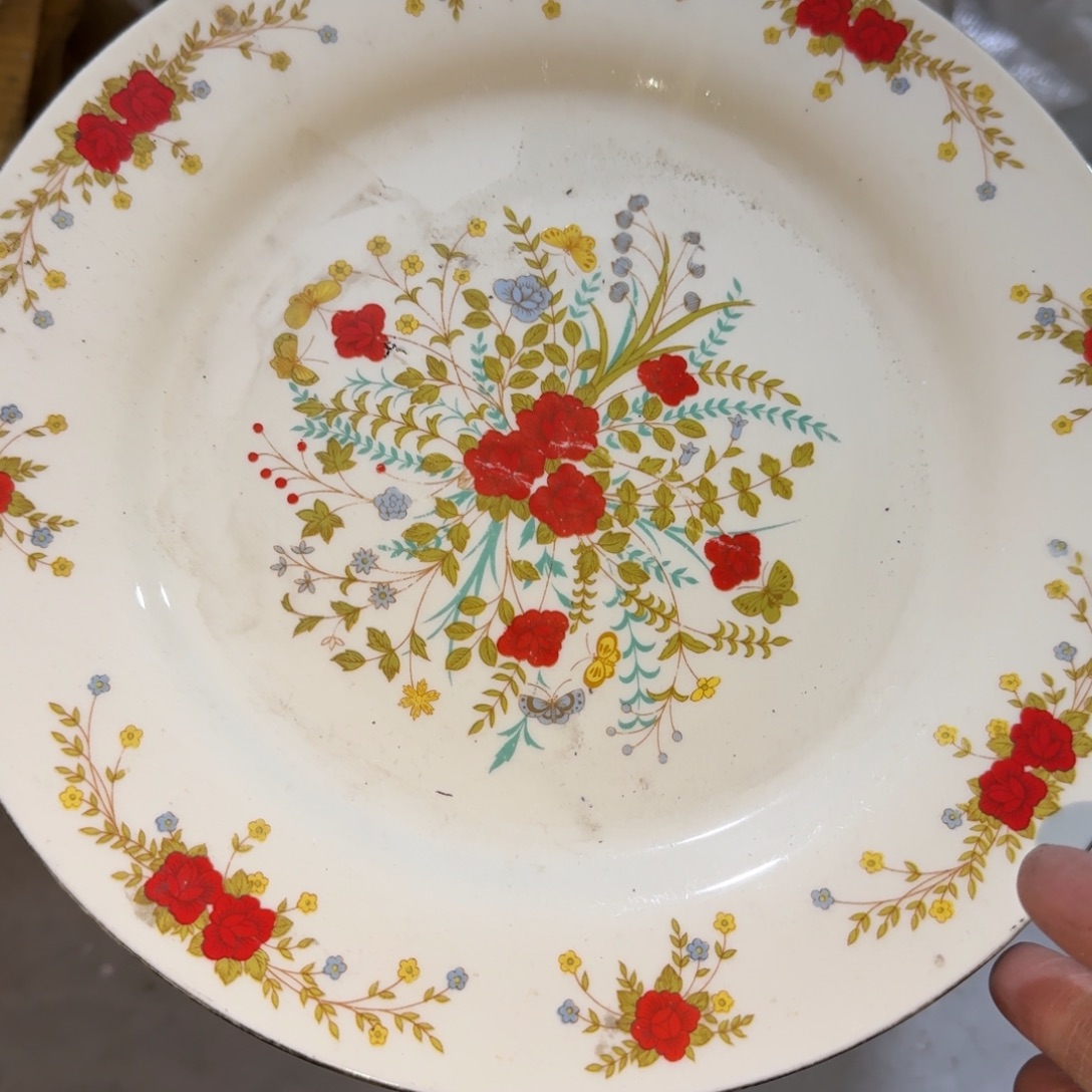 茶盏我的好友是小飞