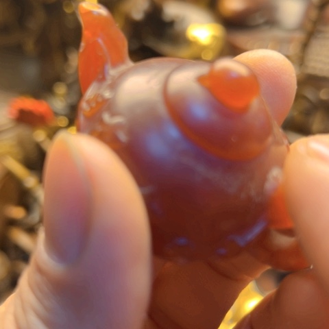 直播间专属链接点击下单即可