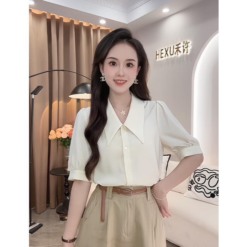 法式休闲气质泡泡袖衬衫女2024秋季新款设计感百搭显瘦减龄上衣