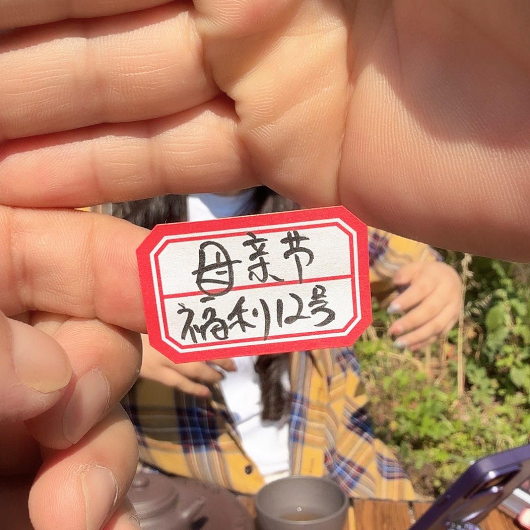 茶壶紫砂原矿紫砂福利12号