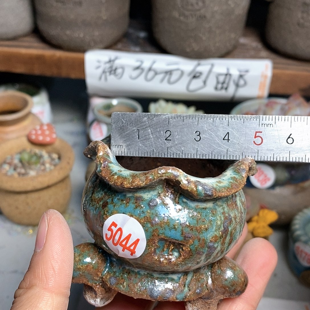 红陶拍5送一个小