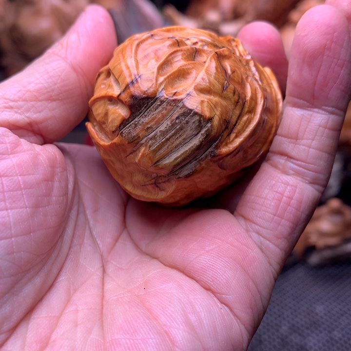 柏木（崖柏）崖柏陈化料手把件