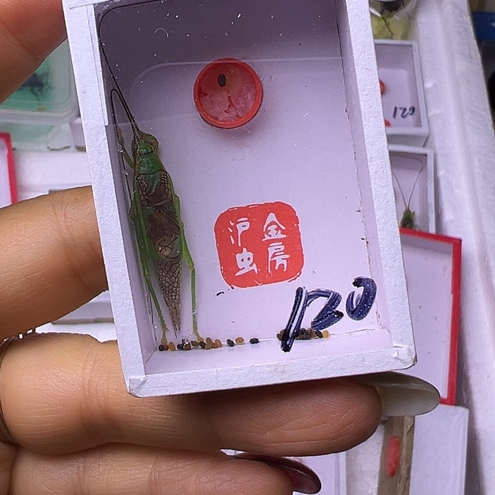 无***表哈哈哈哈哈哈哈哈哈哈哈哈哈哈哈