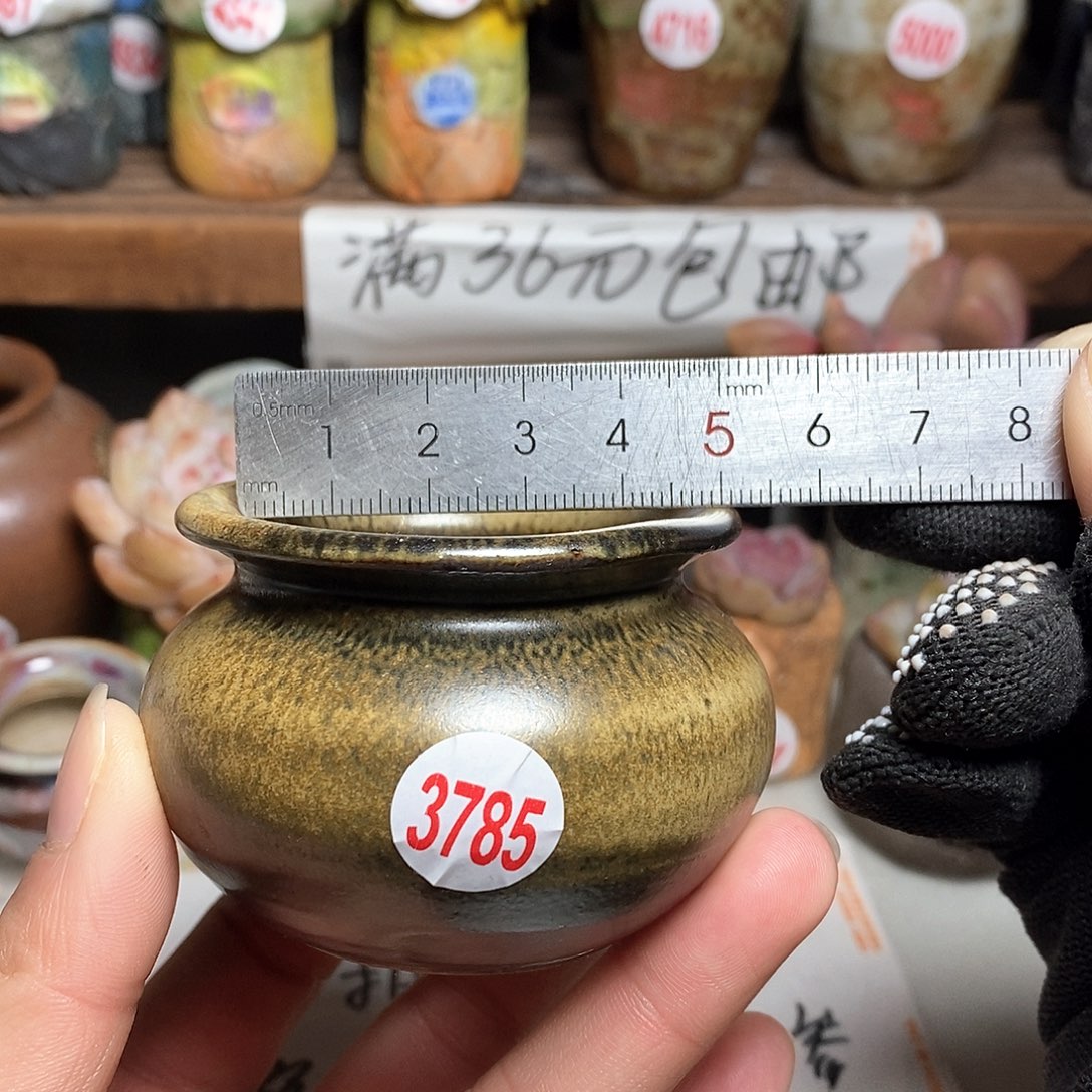 红陶拍5送一个小