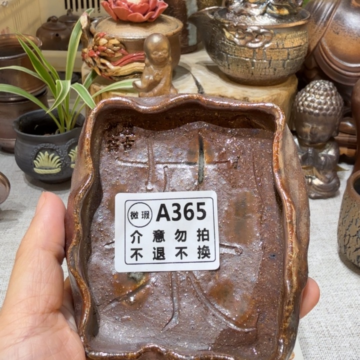 盘柴烧福利捡漏场