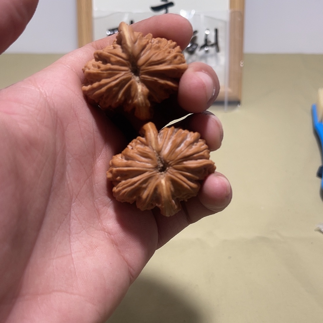 张***憨大叶紫檀（黑酸枝木类）