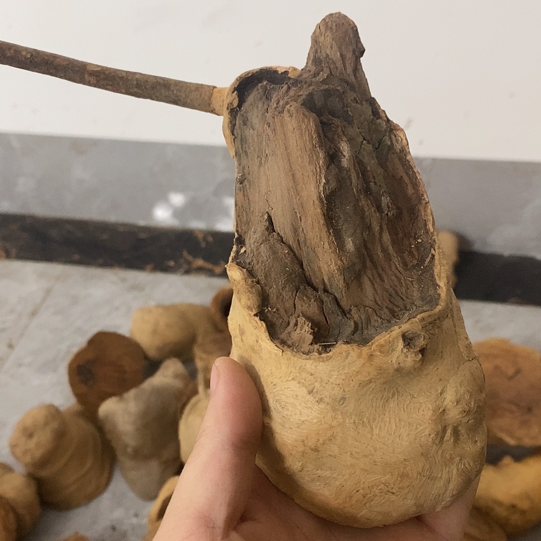 小***4荔枝木荔枝木原料