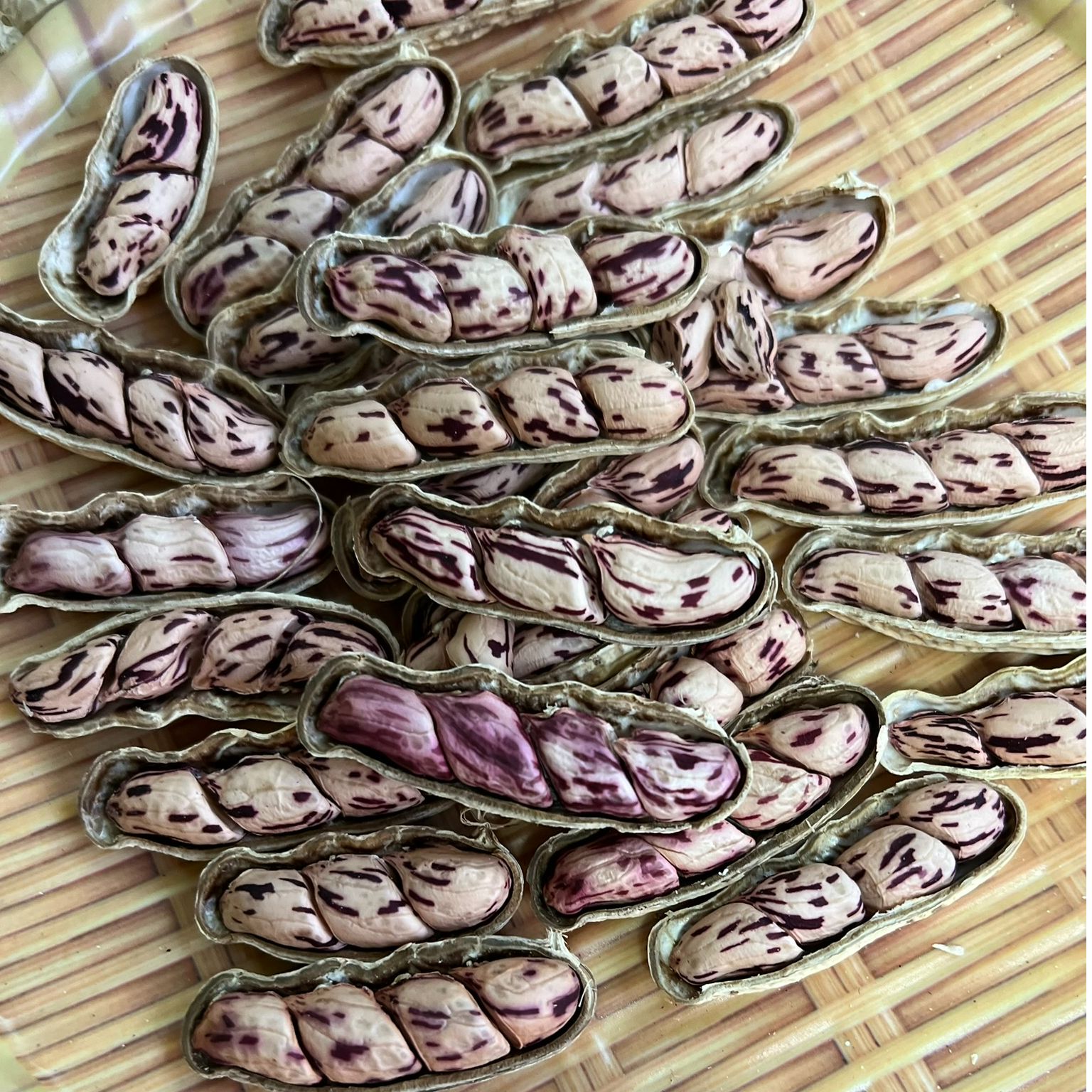 云南带壳【干】七彩花生自然晒干美味休闲零食甘香回甜