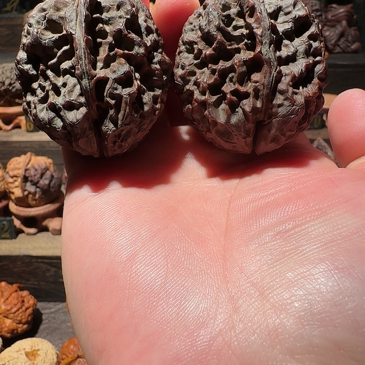 木质类经典名款霸王滚龙蟾45尺