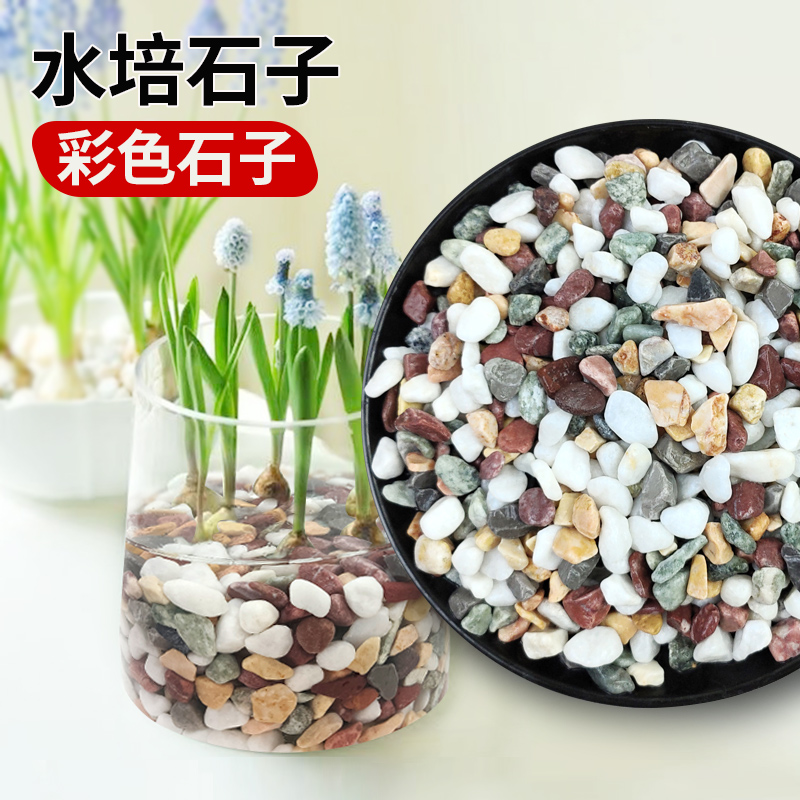 五彩石彩色石子水培石子固定石头铺面多肉养花碎石盆景石石子养鱼