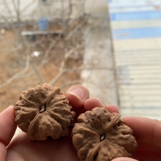 文玩核桃吊坠专**粒38蛤蟆头