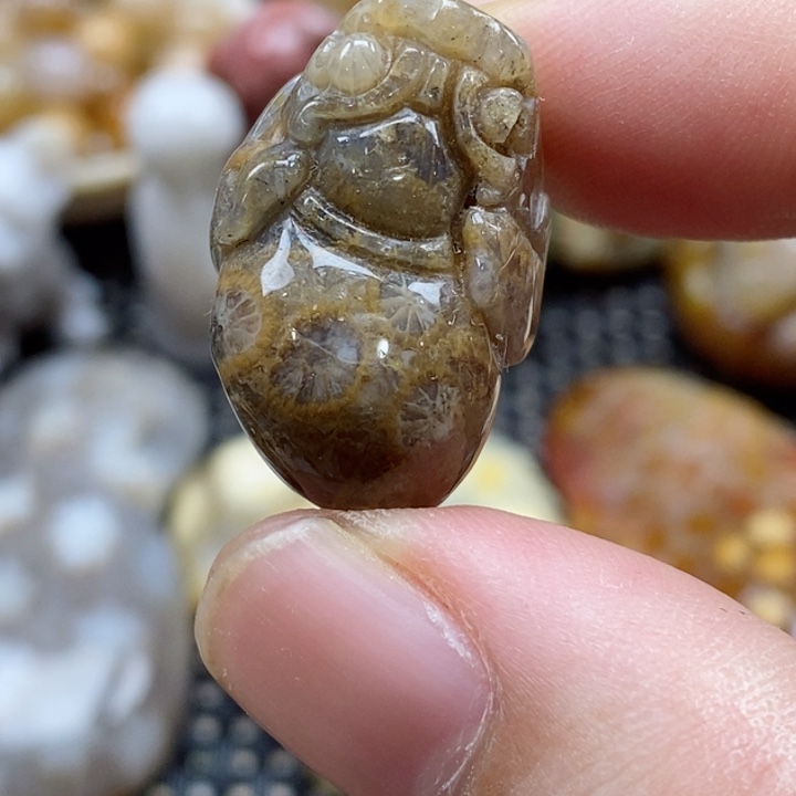 硅化珊瑚（珊瑚玉）颈饰未镶嵌小吊坠