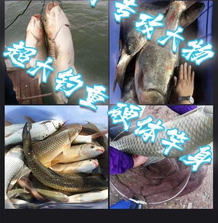 鲢鳙杆青鱼竿草鱼竿野钓竿黑坑竿一对一下单链接一号