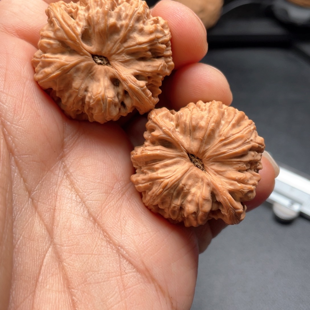 文玩核桃把件红宝石