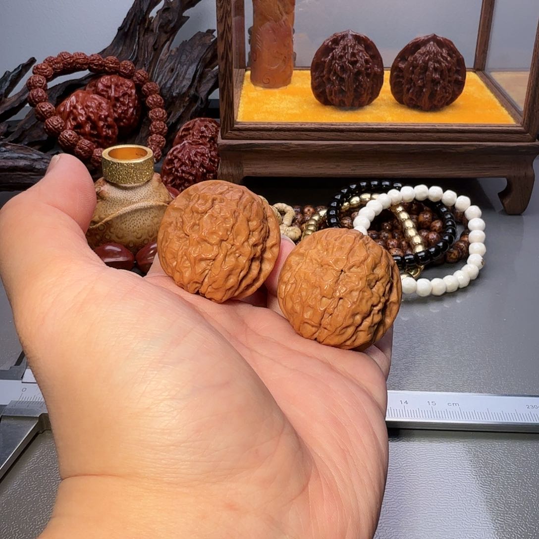 文玩核桃把件38尺寸甲骨纹