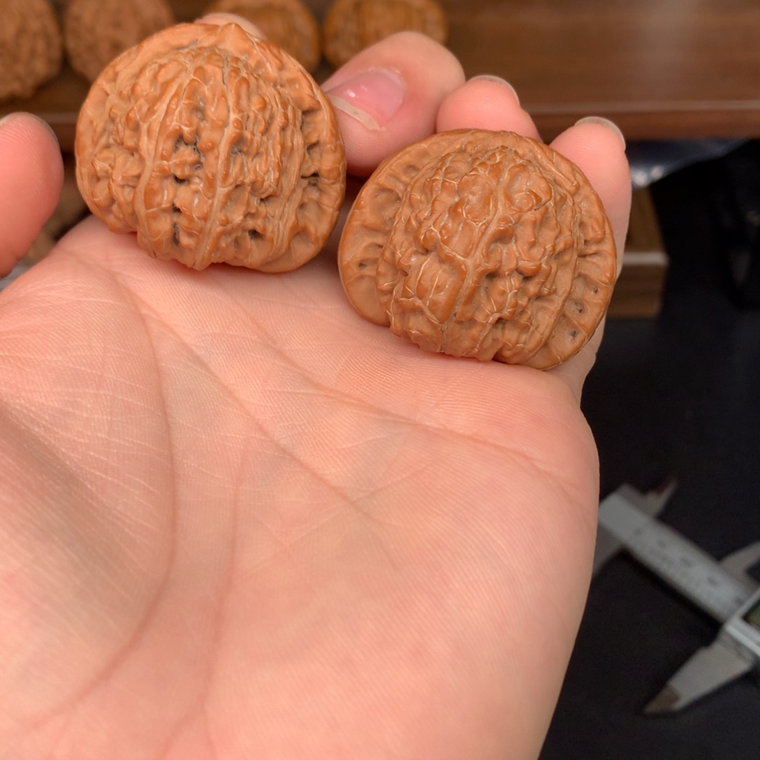 文玩核桃手串39白狮子