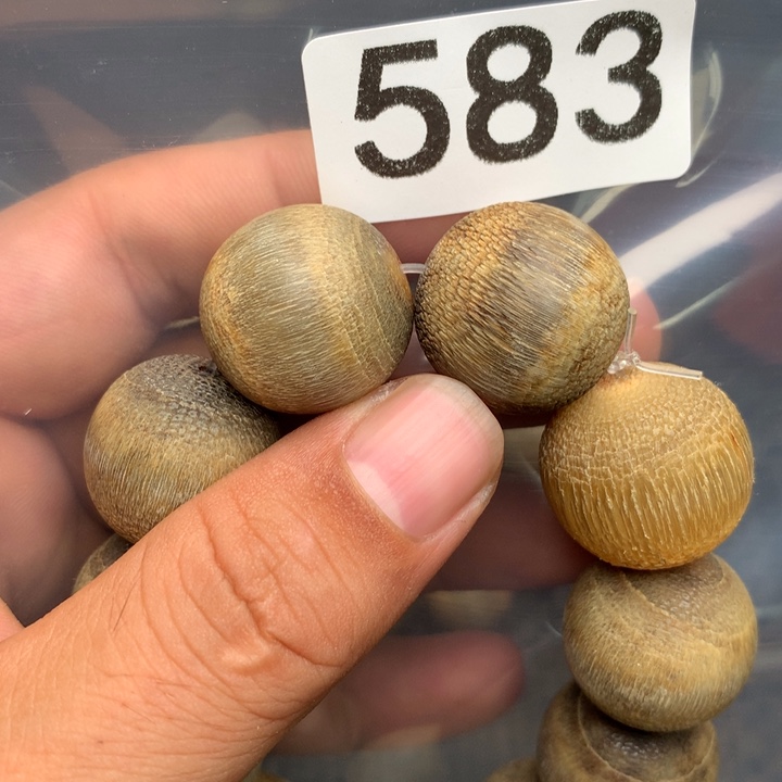 大果紫檀（缅甸花梨）