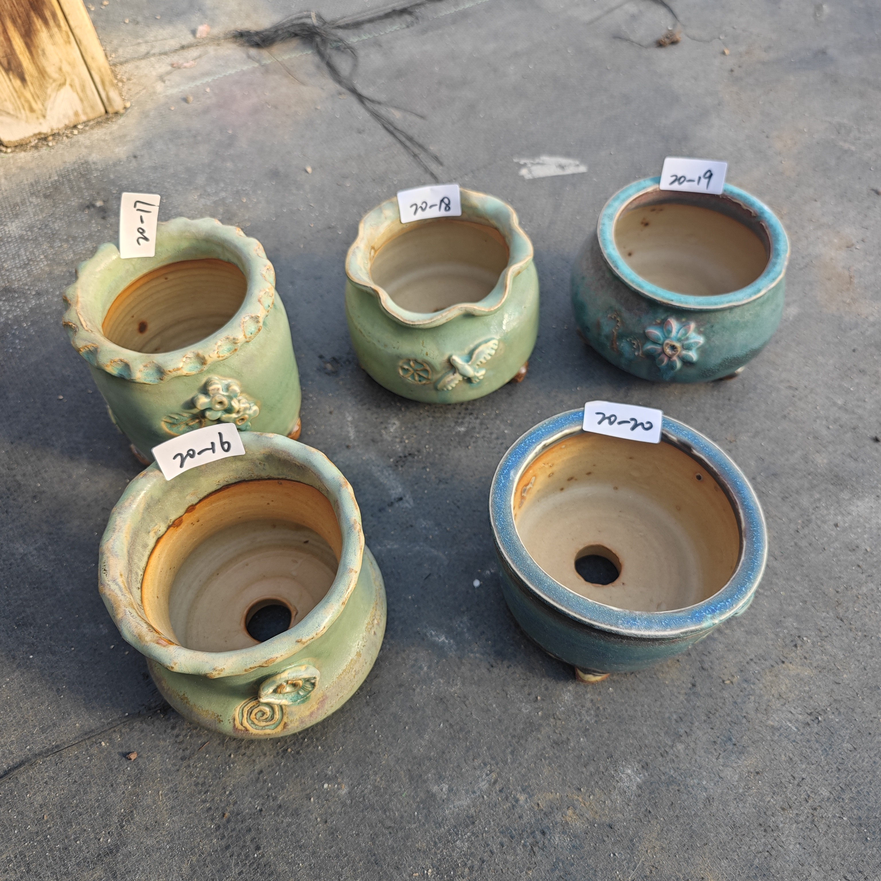 小鹿园艺多肉上新11-20号