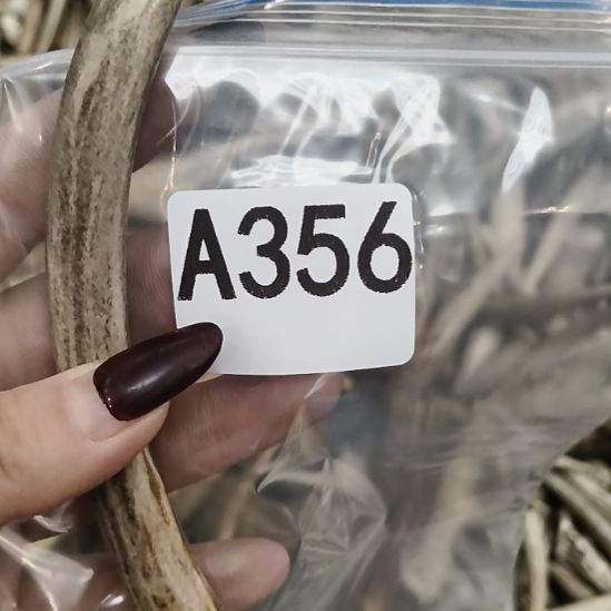 微***尘鹿角鹿角鹿角鹿角鹿角鹿角