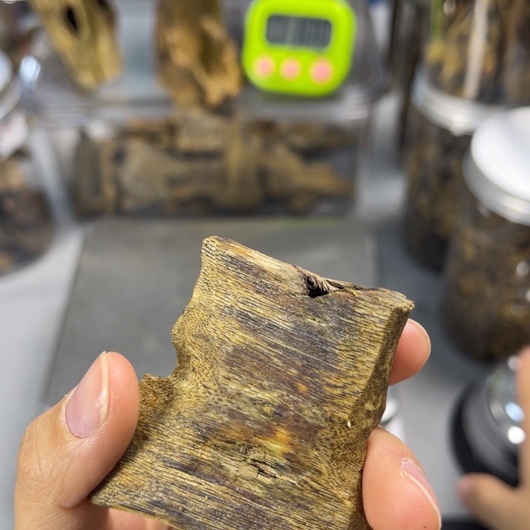 菩***叶沉香碎屑沉香海南棋楠块料0024