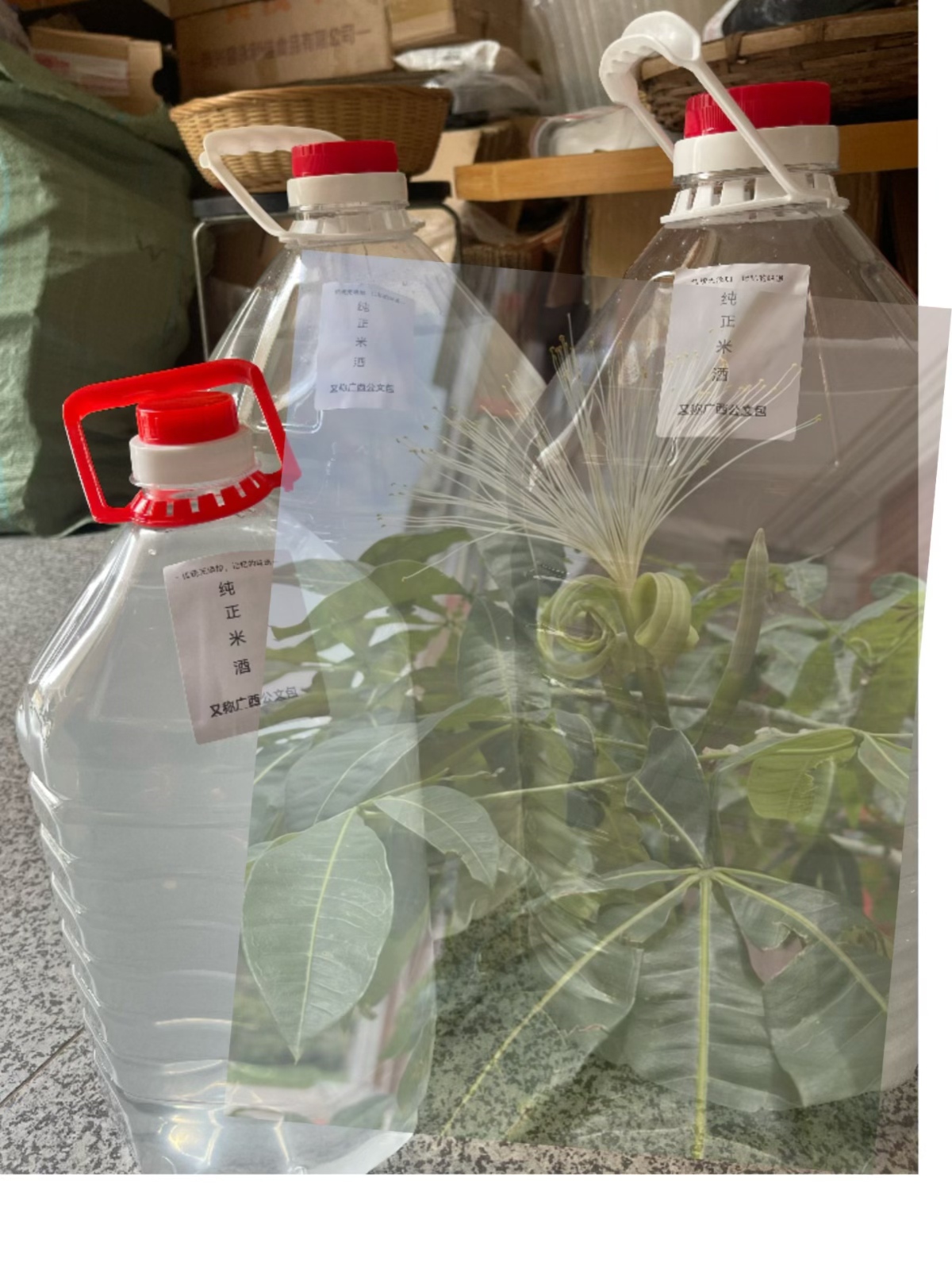 广西深山农家自粮纯土炮九包邮