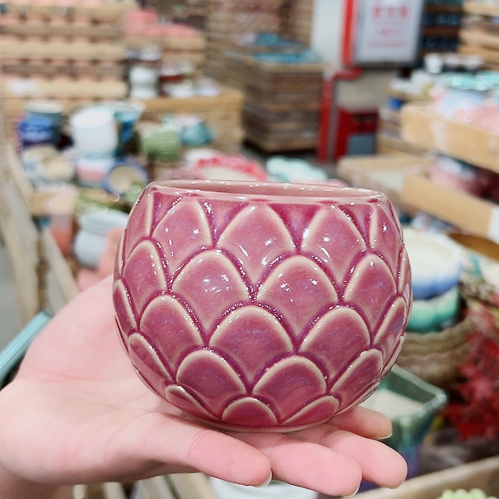 花盆有孔！订单凑满10米包由！