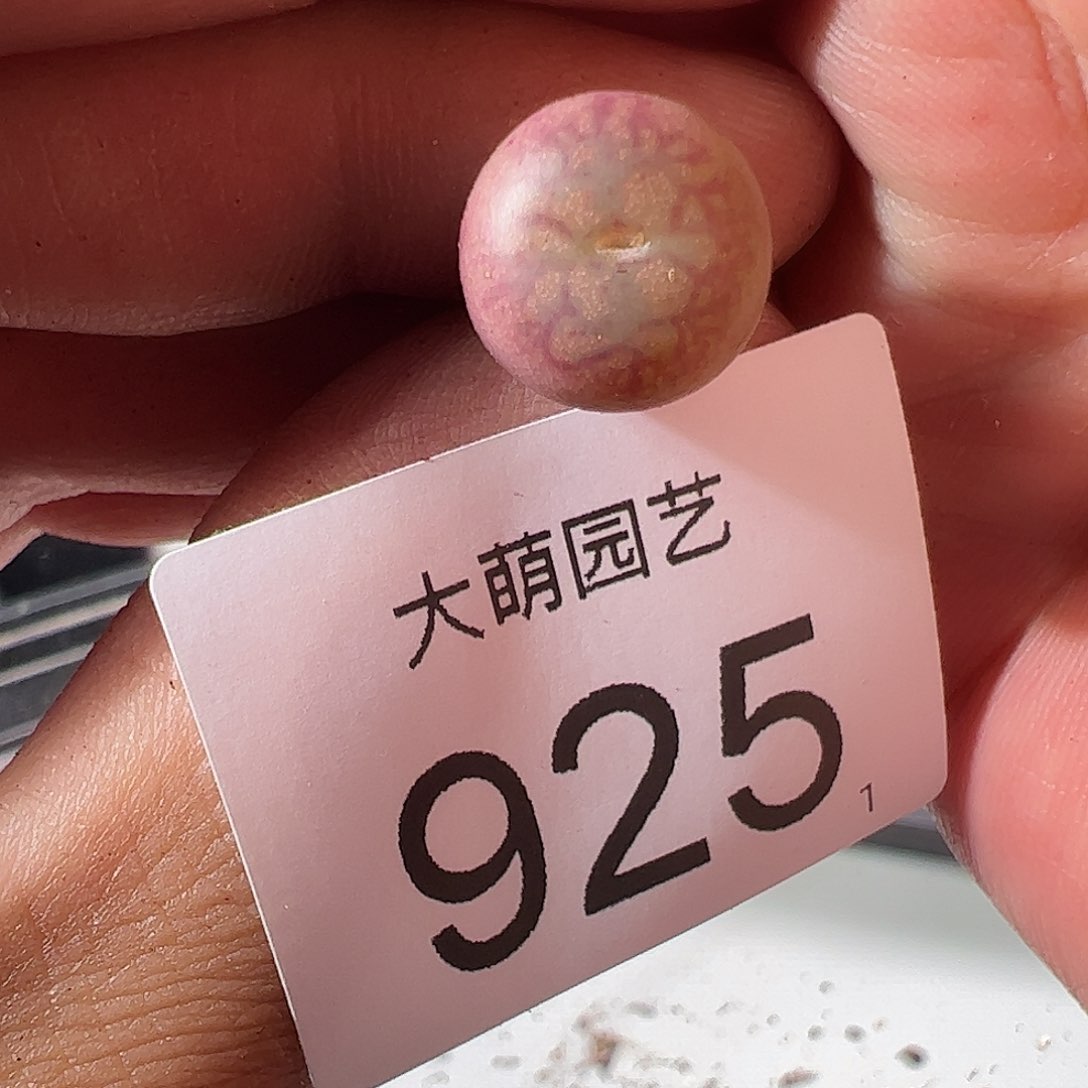 0000925 一物一拍……