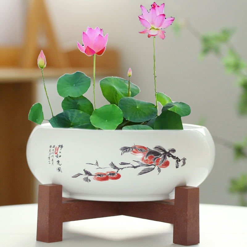 水仙花盆陶瓷铜钱草水培睡莲一叶莲碗莲金钱草水养专用盆缸无孔大